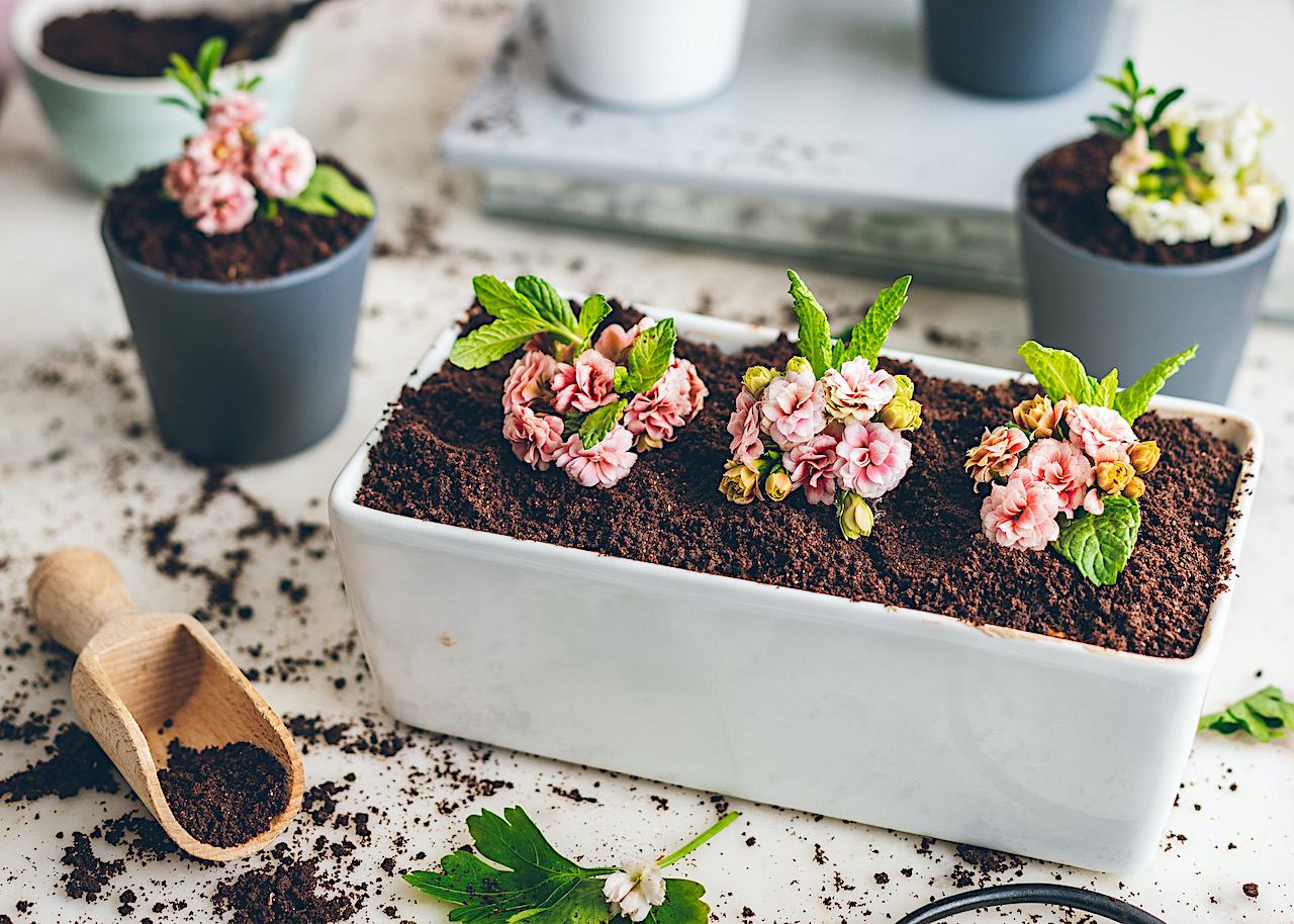 La tarta de la maceta (The Pot Cake)