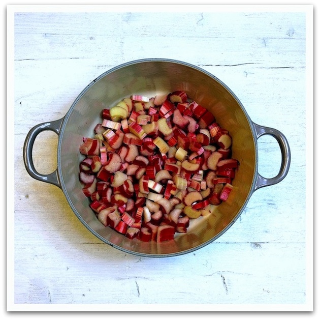 Confiture de Ruibarbos (rhubarbe) 1