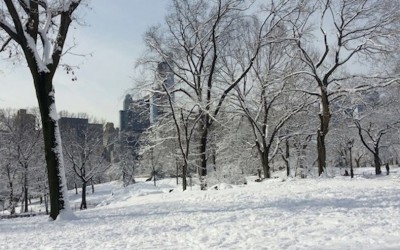 New York white what cold!