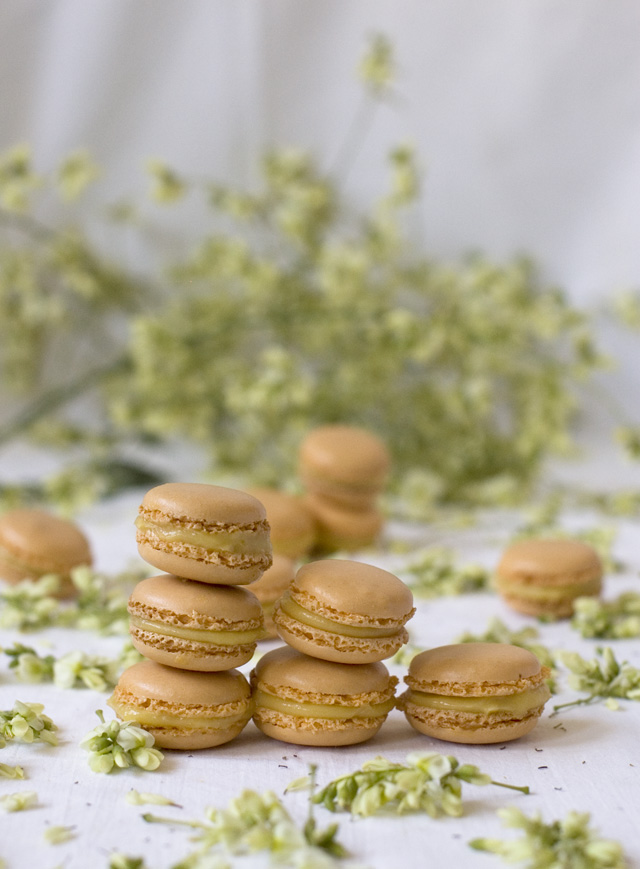 Macarons de mango