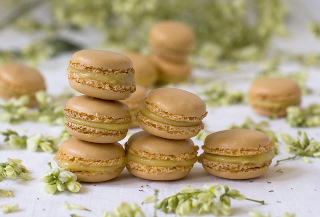 Macarons de mangue. Le meilleur de l'Axarquía