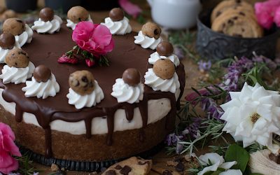 Cheesecake and cookies without oven and without egg