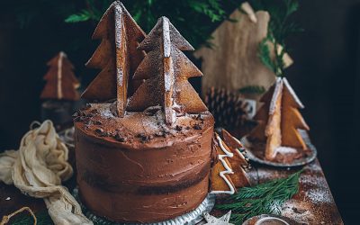 Pastel de Navidad de chocolate y vainilla. Tarta mármol